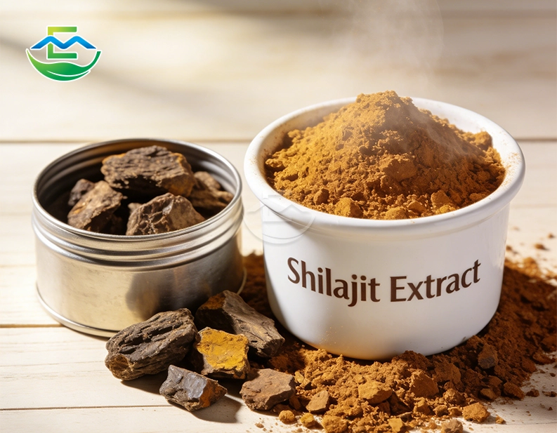 best Shilajit Extract